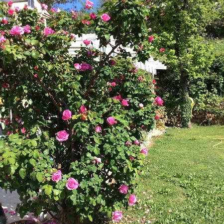 شقة Bienvenue Chez Alain Et Marie أنتيب